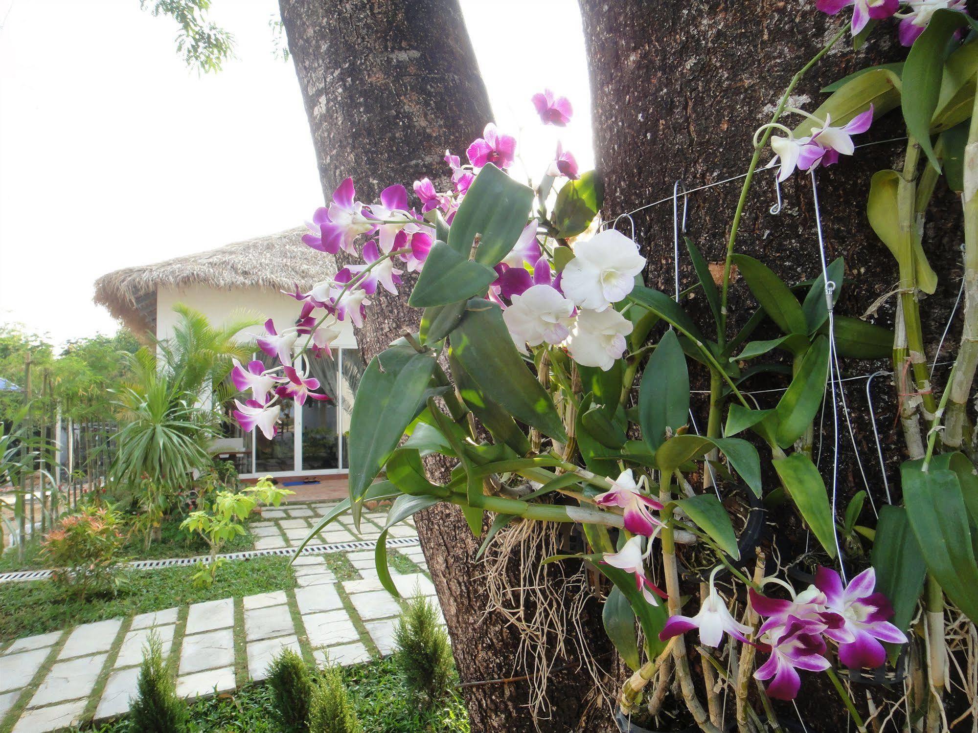 Blue Sea Boutique Hotel Sihanoukville Exterior foto